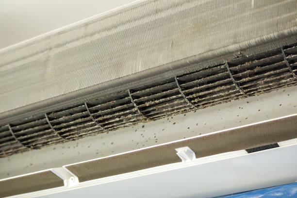 Best Commercial Air Duct Cleaning  in Whiteville, NC